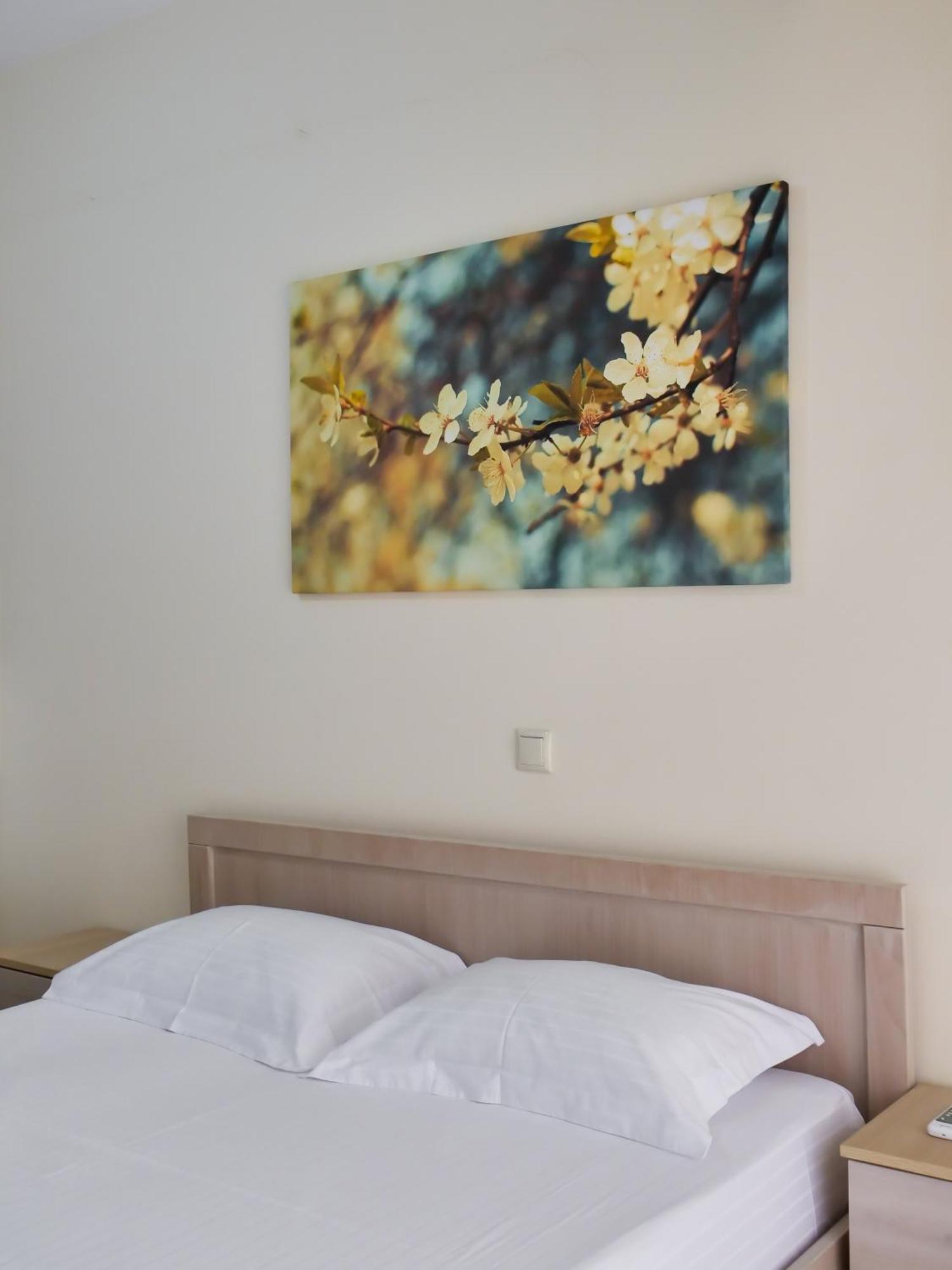 Bodini'S Rooms هيماري المظهر الخارجي الصورة